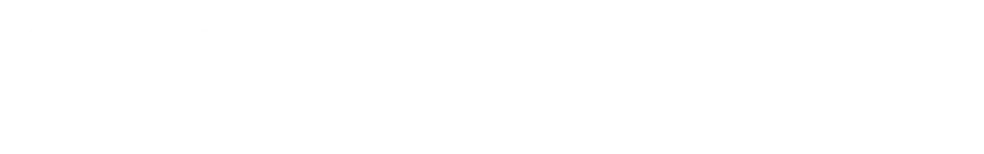 大会結果